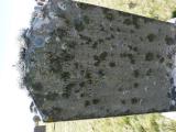 image of grave number 762905